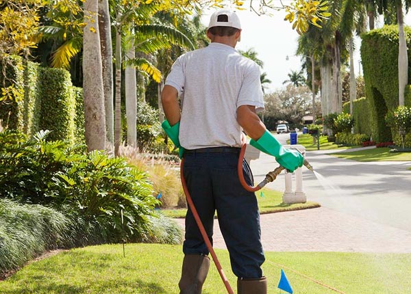 About San Miguel CA Pest Control Pros